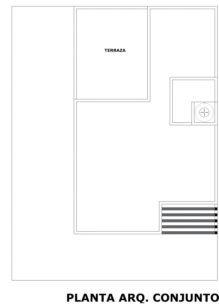 Abedul planta de conjunto